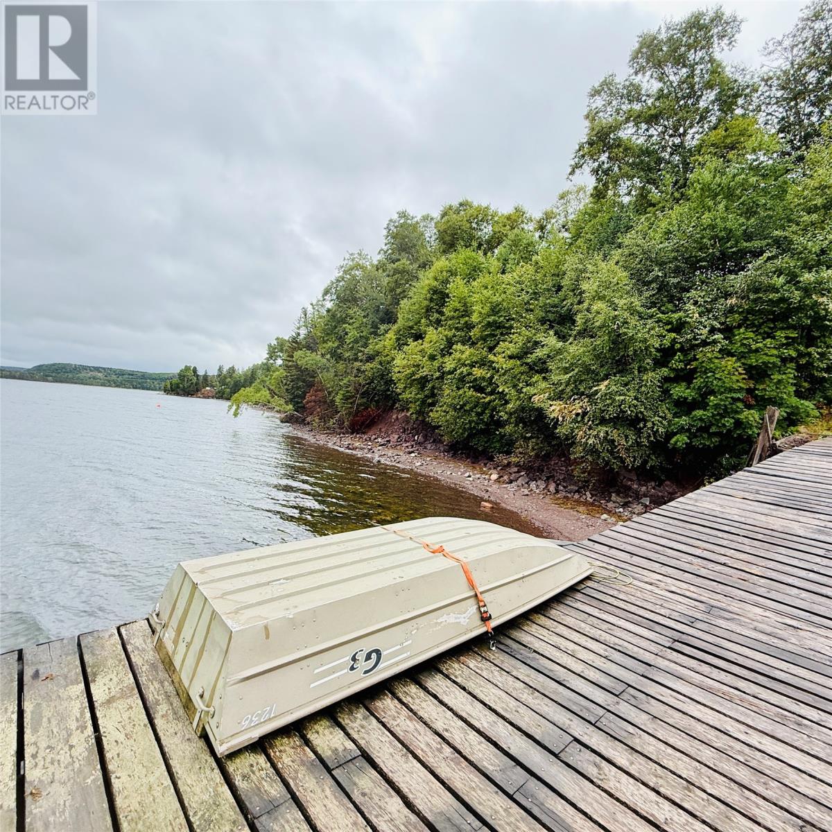 8 West Bottom North Road, South Brook, Newfoundland & Labrador    - Photo 46 - 1295827