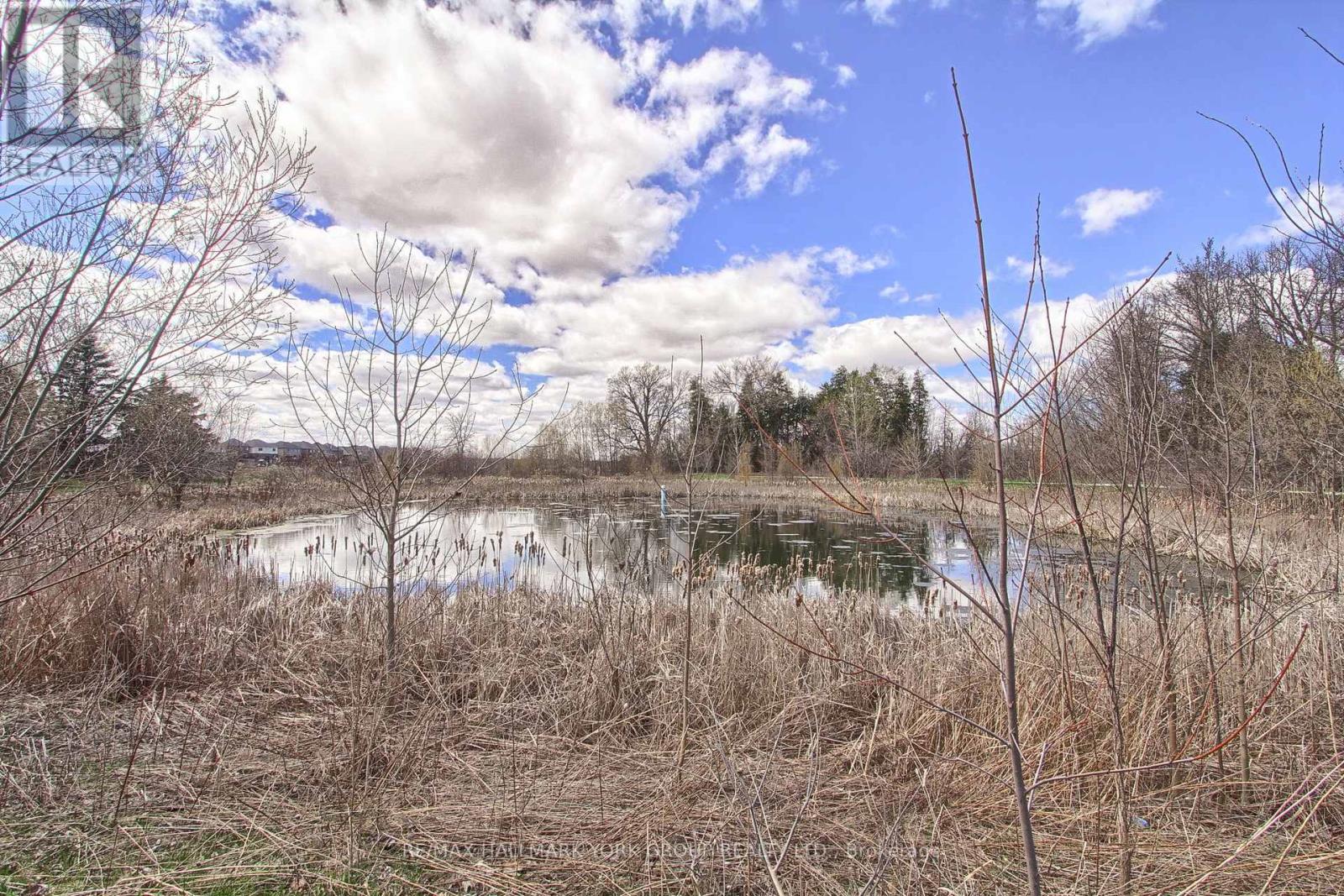 21 Daniele Avenue N, New Tecumseth, Ontario  L0G 1A0 - Photo 50 - N13028430