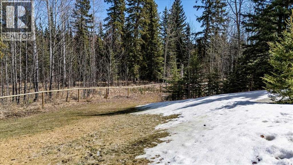 12 Ricinus Ridge Drive, Rural Clearwater County, Alberta  T0M 0M0 - Photo 36 - A2303761