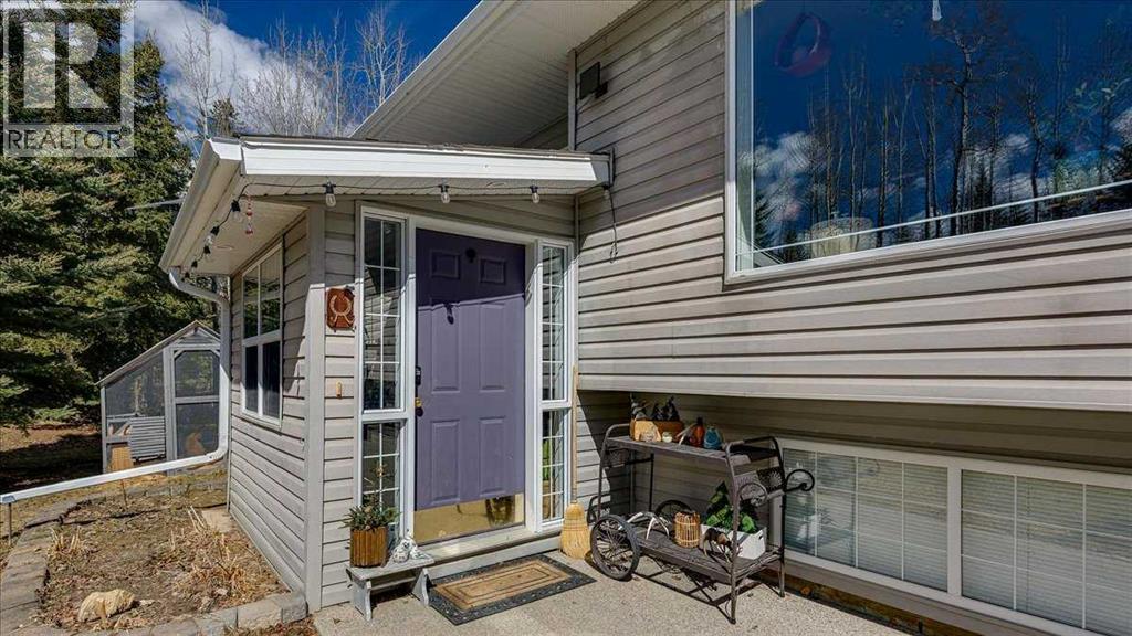 12 Ricinus Ridge Drive, Rural Clearwater County, Alberta  T0M 0M0 - Photo 4 - A2303761