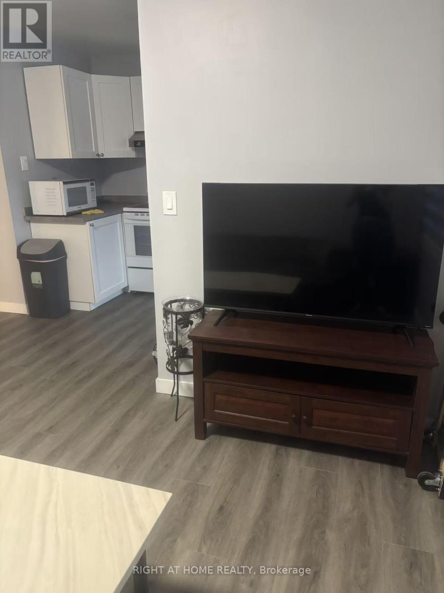 2 - 226 Kenilworth Avenue N, Hamilton, Ontario  L8H 4S2 - Photo 3 - X13028364