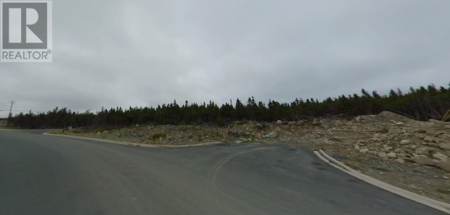 0000 Brant, Mount Pearl, Newfoundland & Labrador  A1N 0K4 - Photo 4 - 1296410