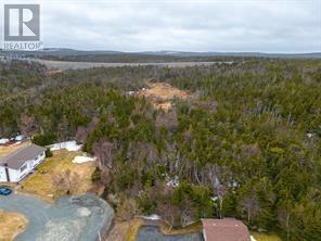 55 Garden Road, Torbay, Newfoundland & Labrador  A1K 1H5 - Photo 4 - 1296428