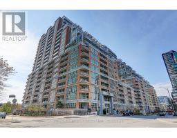 417 - 65 EAST LIBERTY STREET, Toronto, Ontario