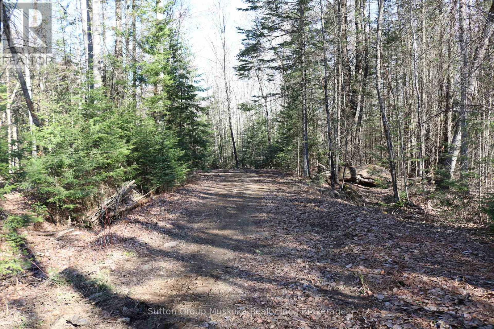 2602 Muskoka 10 Road, Huntsville (Brunel), Ontario  P1H 2J3 - Photo 47 - X12965342