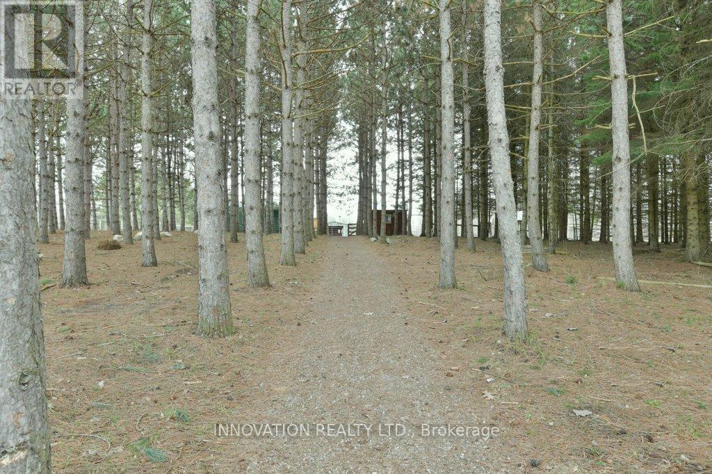 207 Ferguson Falls Road, Lanark Highlands, Ontario  K7C 0C5 - Photo 42 - X12867616