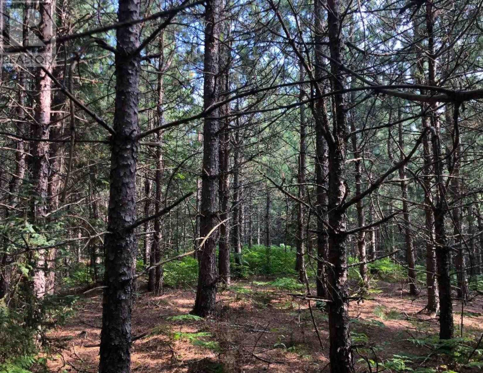 . Pt Sec 2 Lefroy As In T451578; Huron Shores, Huron Shores, Ontario  P0R 1L0 - Photo 8 - SM260738