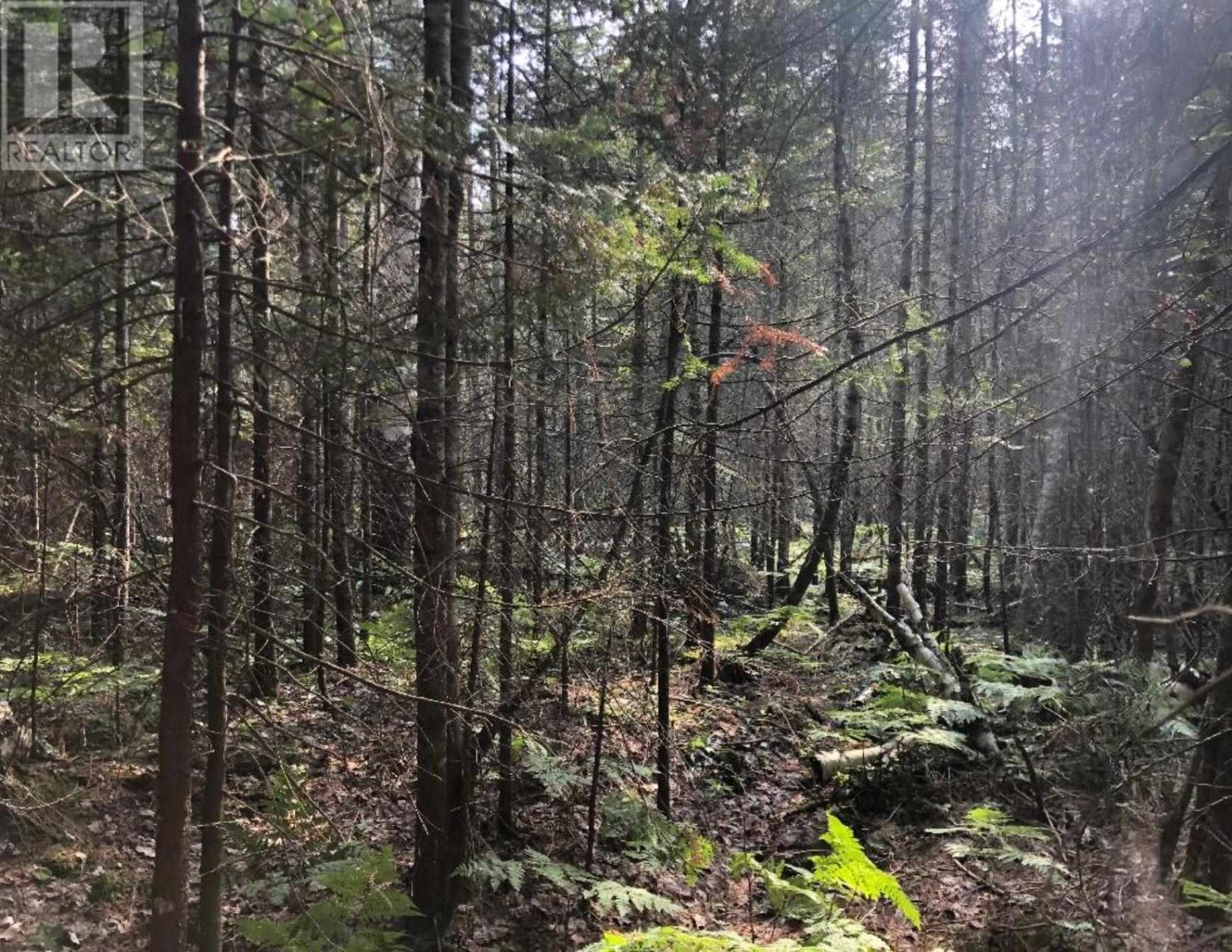 . Pt Sec 2 Lefroy As In T451578; Huron Shores, Huron Shores, Ontario  P0R 1L0 - Photo 9 - SM260738