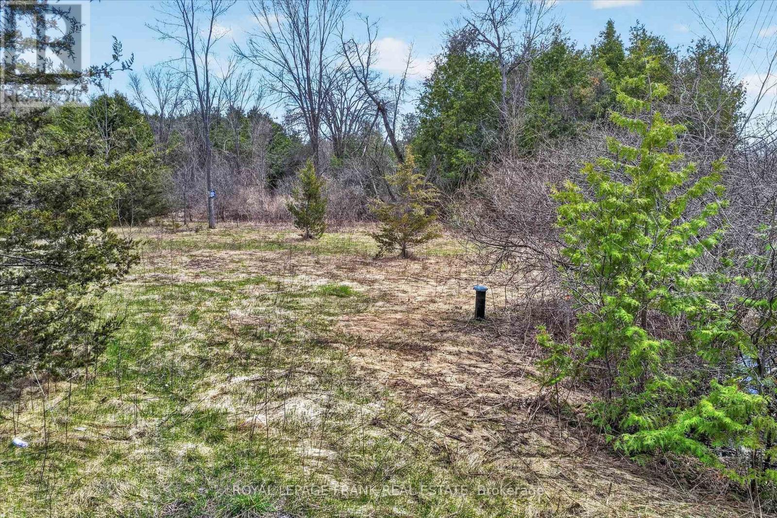 Lot 4 Lakefield Road, Selwyn, Ontario  K9J 6X5 - Photo 9 - X12910352