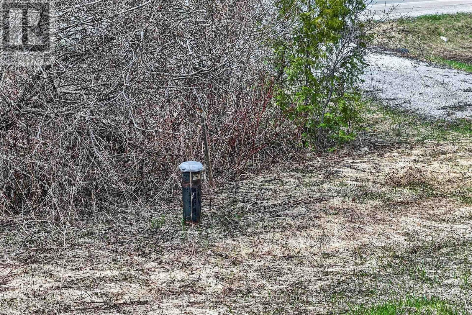 Lot 4 Lakefield Road, Selwyn, Ontario  K9J 6X5 - Photo 6 - X12910352