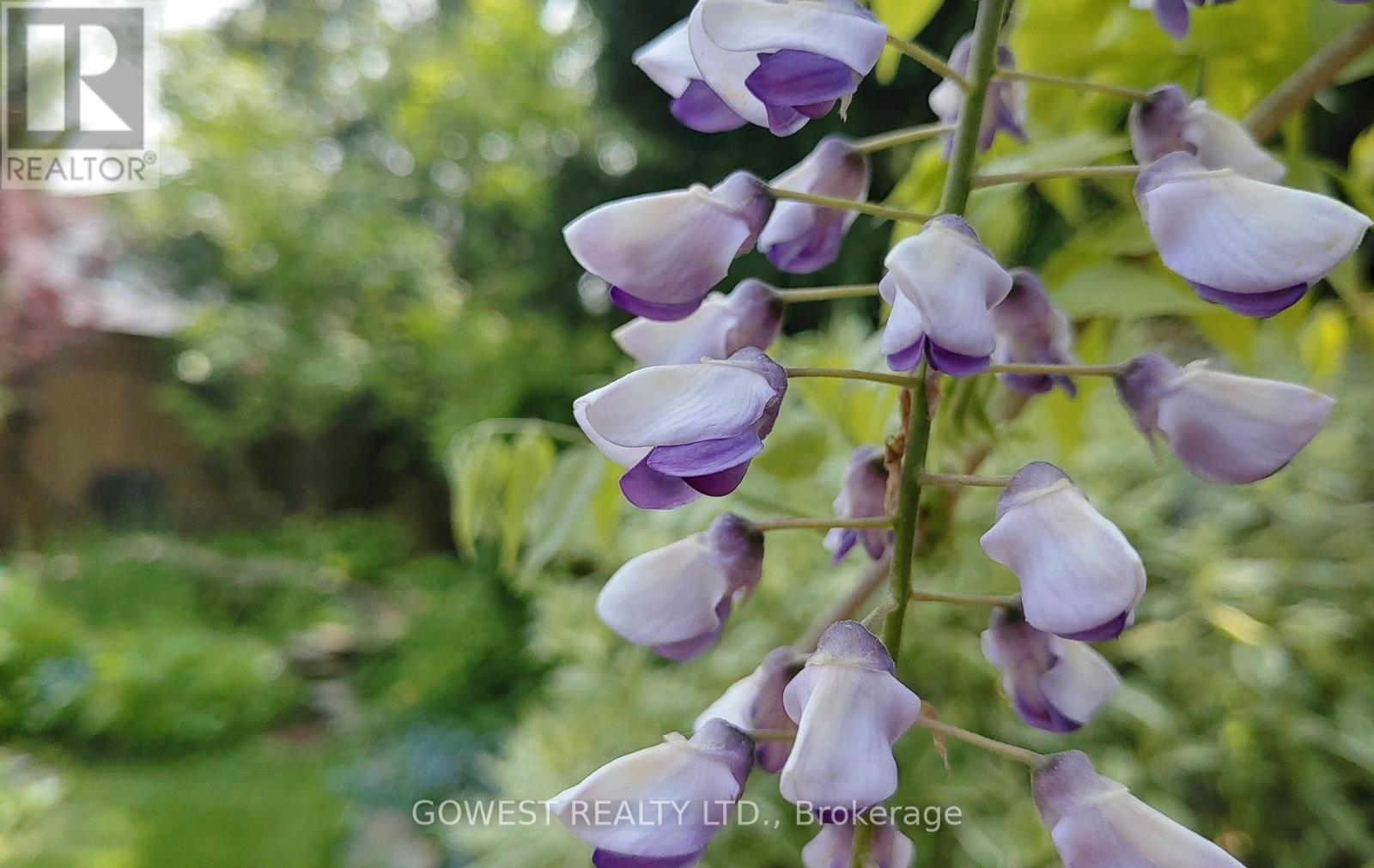 6564 Edenwood Drive, Mississauga, Ontario  L5N 3L7 - Photo 43 - W13028754