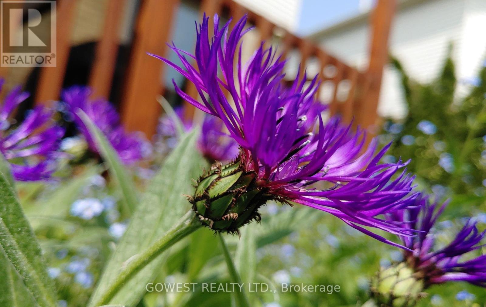 6564 Edenwood Drive, Mississauga, Ontario  L5N 3L7 - Photo 44 - W13028754