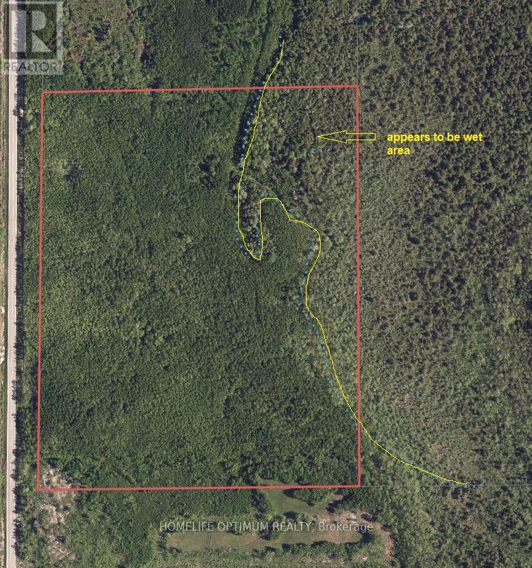 Pcl 19927 Hwy 621 Highway N, Lake Of The Woods, Ontario  P0W 1M0 - Photo 2 - X13028732