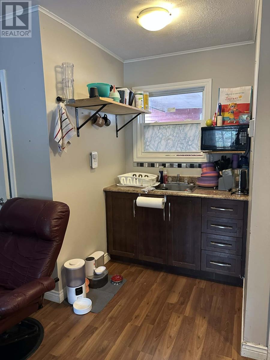 1 Rowan Street, St. John’s, Newfoundland & Labrador  A1B 2X2 - Photo 32 - 1296476