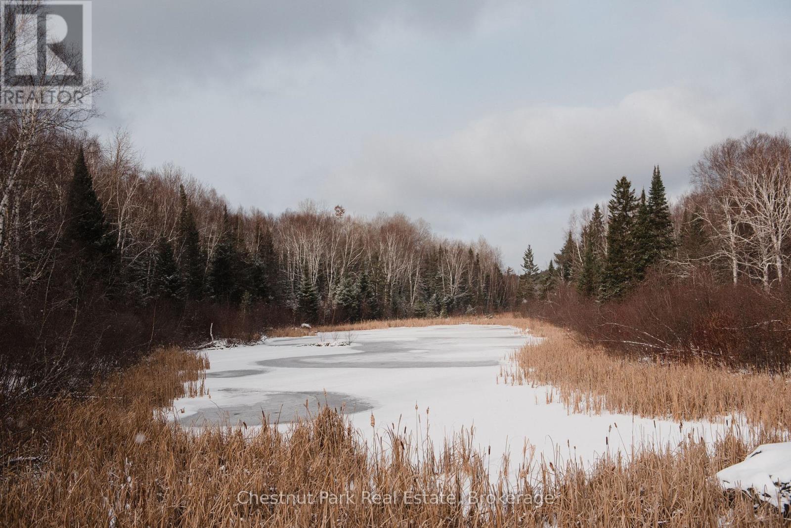 445 Fox Run, Temagami, Ontario  P0H 2H0 - Photo 13 - X13028894