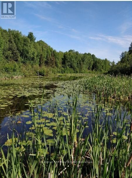 445 Fox Run, Temagami, Ontario  P0H 2H0 - Photo 18 - X13028894