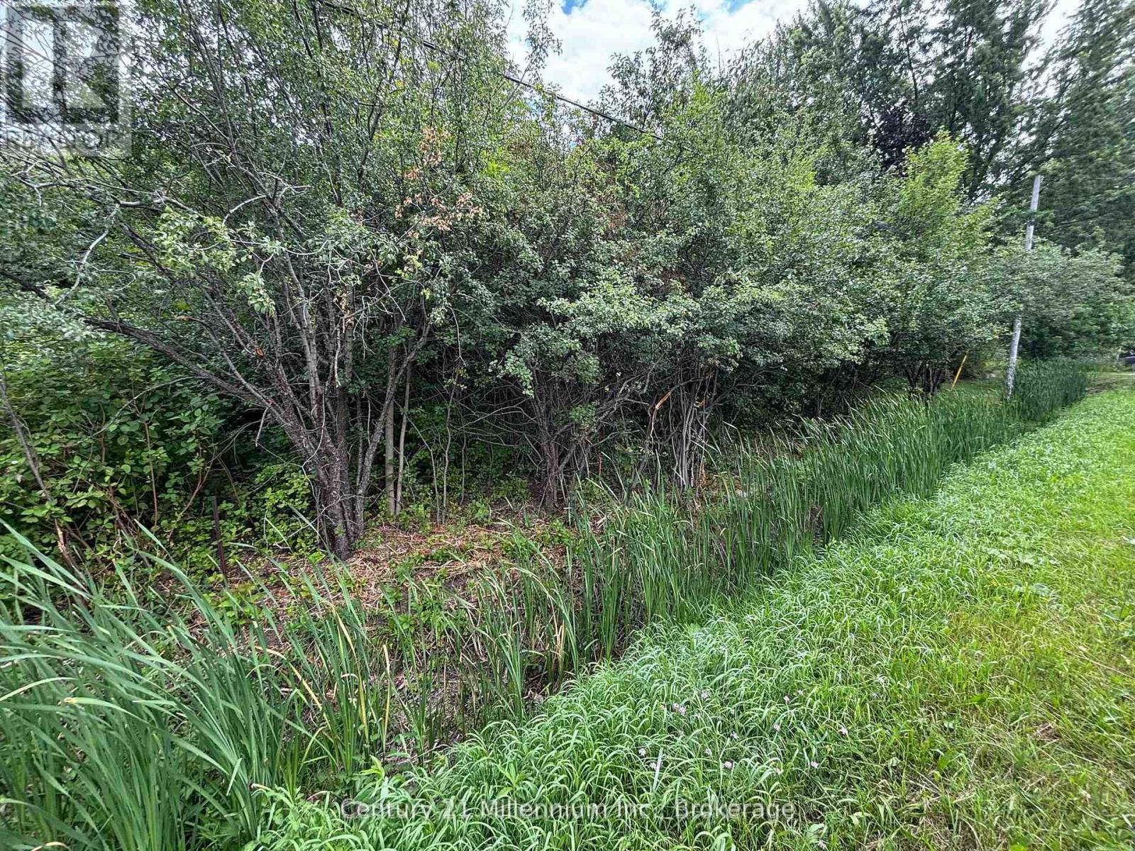 Pt Lt 10 3rd Line, Meaford, Ontario  N4L 1W7 - Photo 17 - X13028998