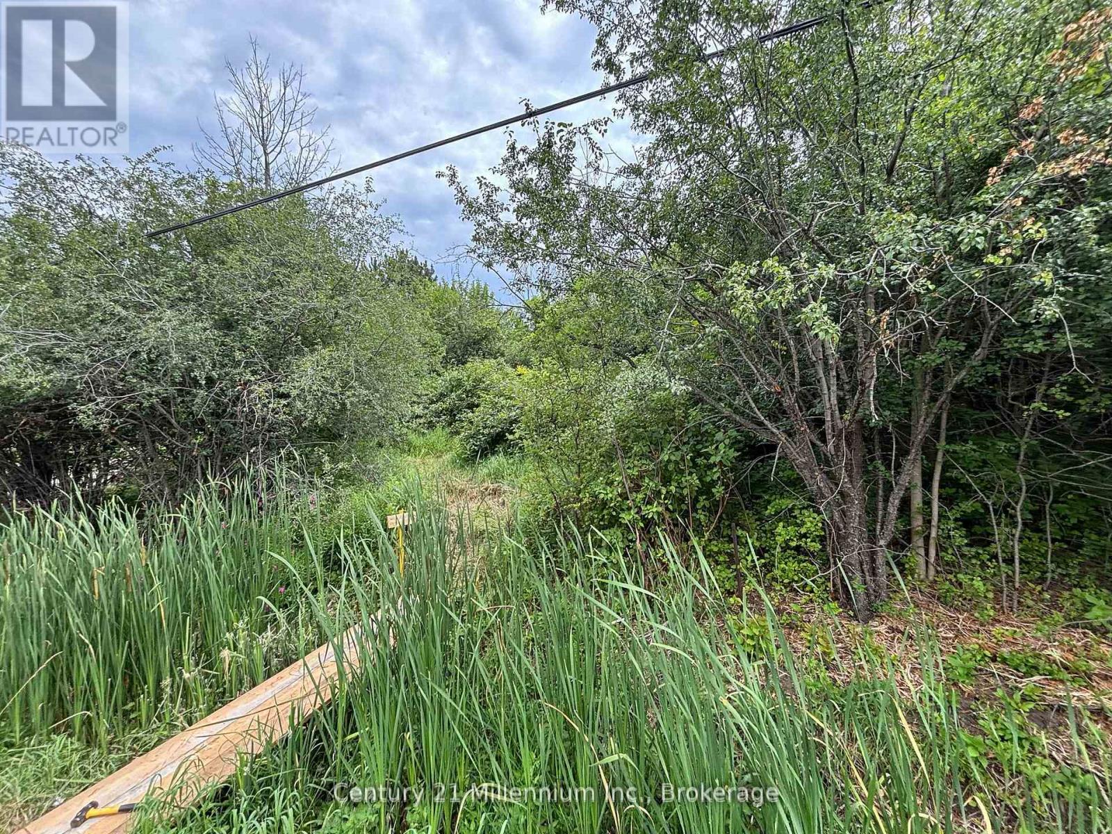 Pt Lt 10 3rd Line, Meaford, Ontario  N4L 1W7 - Photo 18 - X13028998