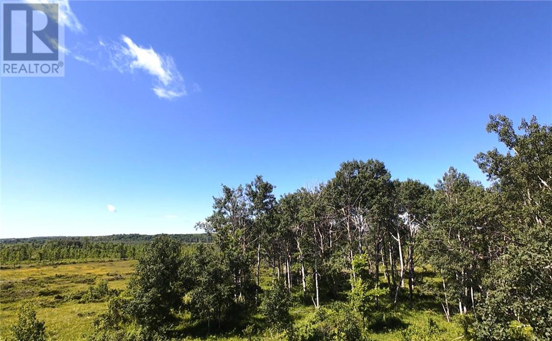 Na White's Point Road, Little Current, Ontario  P0P 1K0 - Photo 8 - 2127214