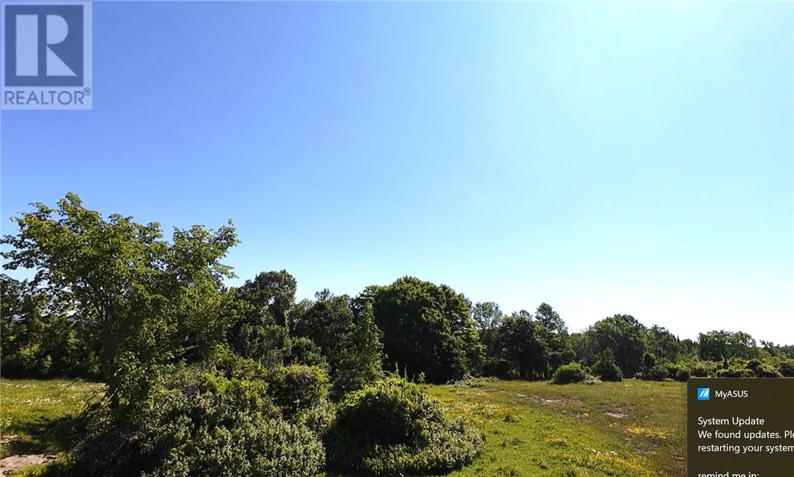 Na White's Point Road, Little Current, Ontario  P0P 1K0 - Photo 9 - 2127214