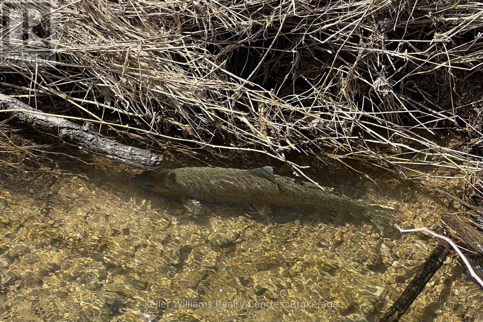 714 Queen Street, West Grey, Ontario  N0G 2M0 - Photo 35 - X13027846