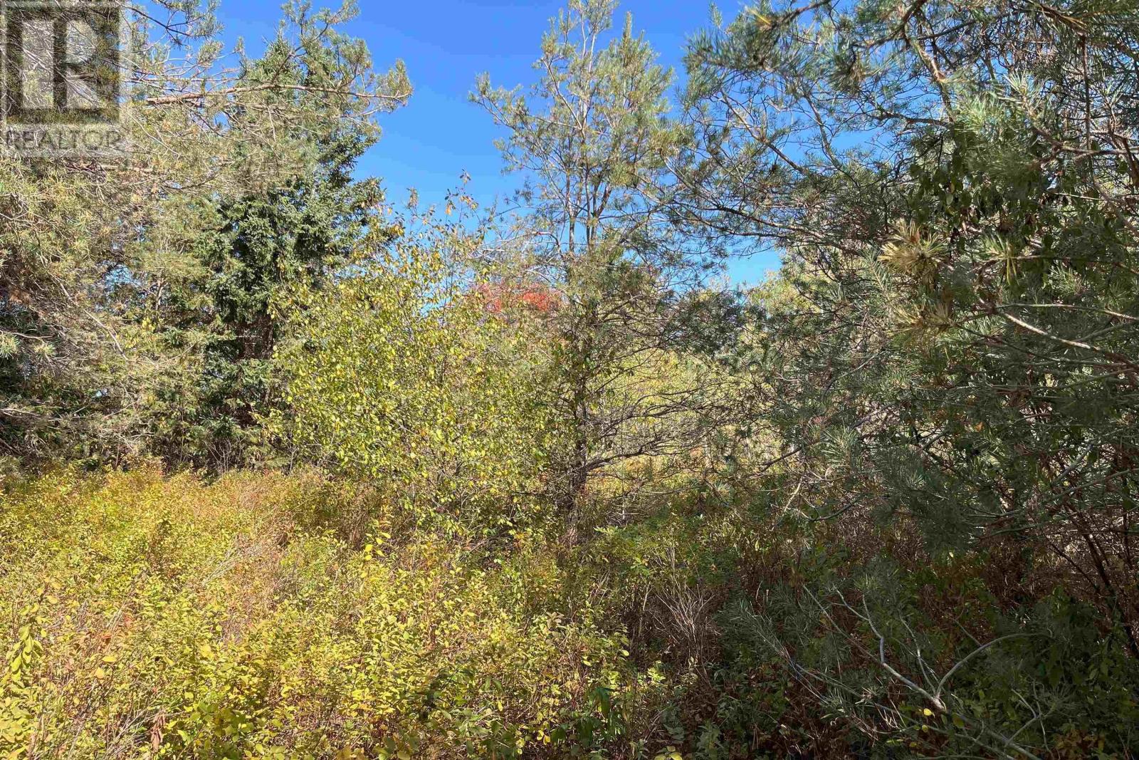 6 Sargent Avenue, Parrsboro, Nova Scotia  B0M 1S0 - Photo 9 - 202605012