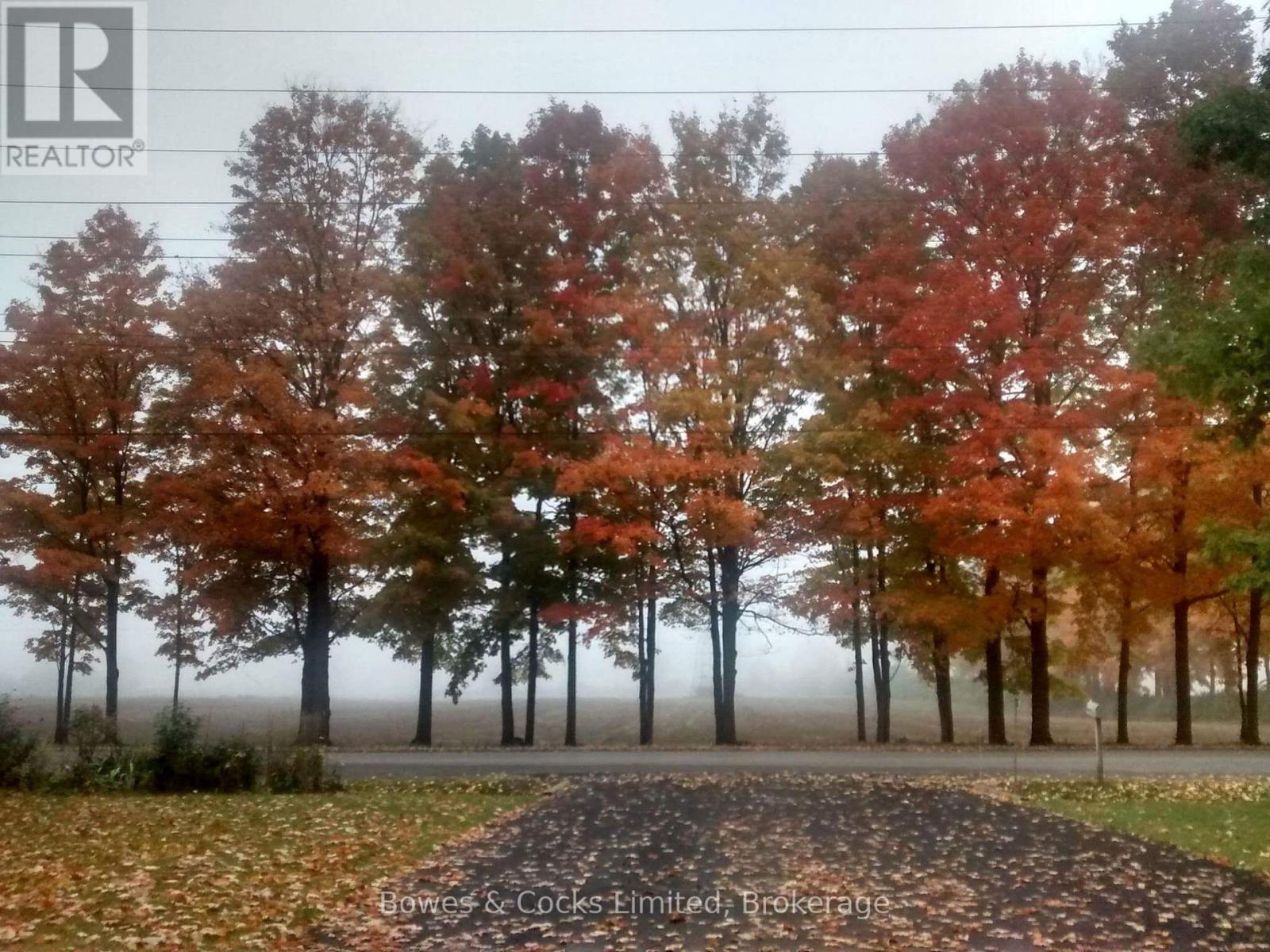 1011 Stewart Line, Cavan Monaghan, Ontario  L0A 1C0 - Photo 32 - X13029198