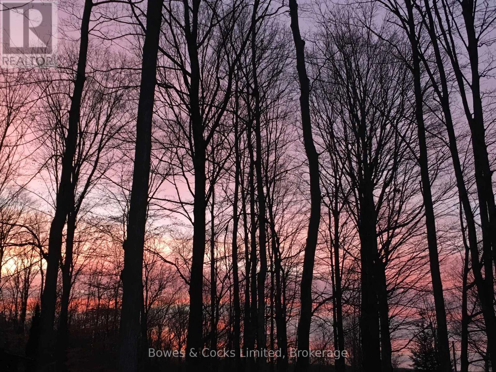 1011 Stewart Line, Cavan Monaghan, Ontario  L0A 1C0 - Photo 34 - X13029198