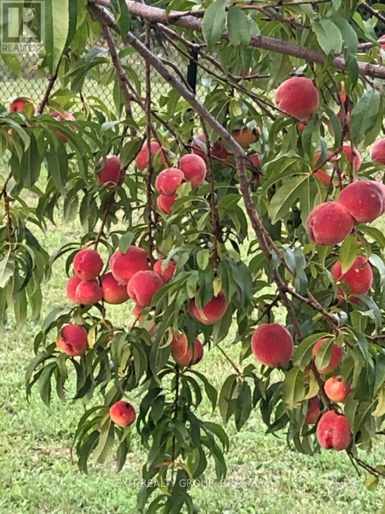 1690 Wallbridge Loyalist Road, Quinte West (Sidney Ward), Ontario  K8N 4Z5 - Photo 32 - X13029322