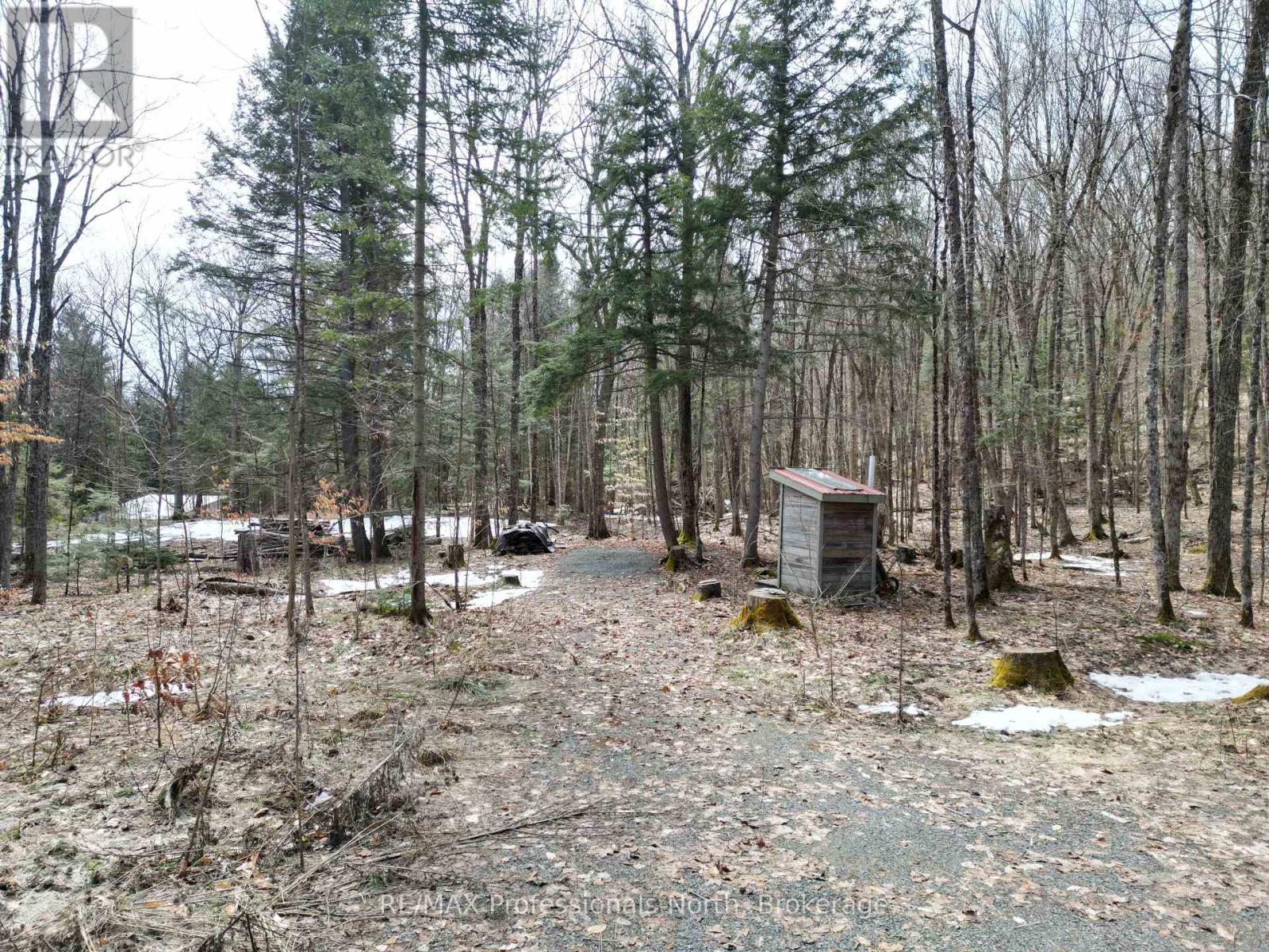 1231 Big Hawk Lake Road, Algonquin Highlands, Ontario  K0M 1J2 - Photo 10 - X13029262