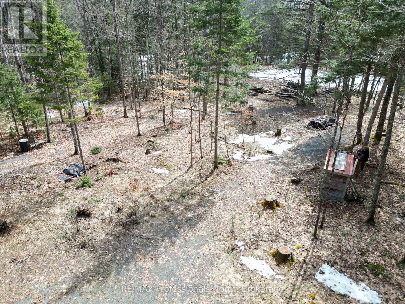 1231 Big Hawk Lake Road, Algonquin Highlands, Ontario  K0M 1J2 - Photo 11 - X13029262