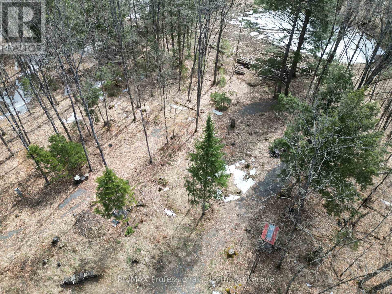 1231 Big Hawk Lake Road, Algonquin Highlands, Ontario  K0M 1J2 - Photo 12 - X13029262