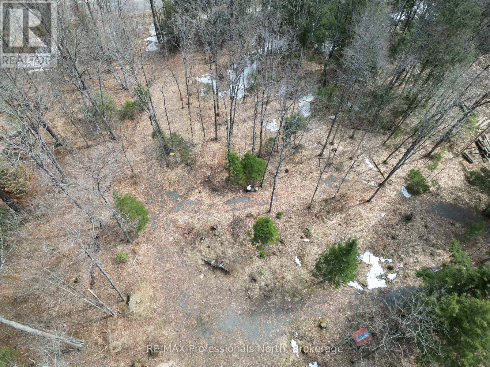 1231 Big Hawk Lake Road, Algonquin Highlands, Ontario  K0M 1J2 - Photo 13 - X13029262