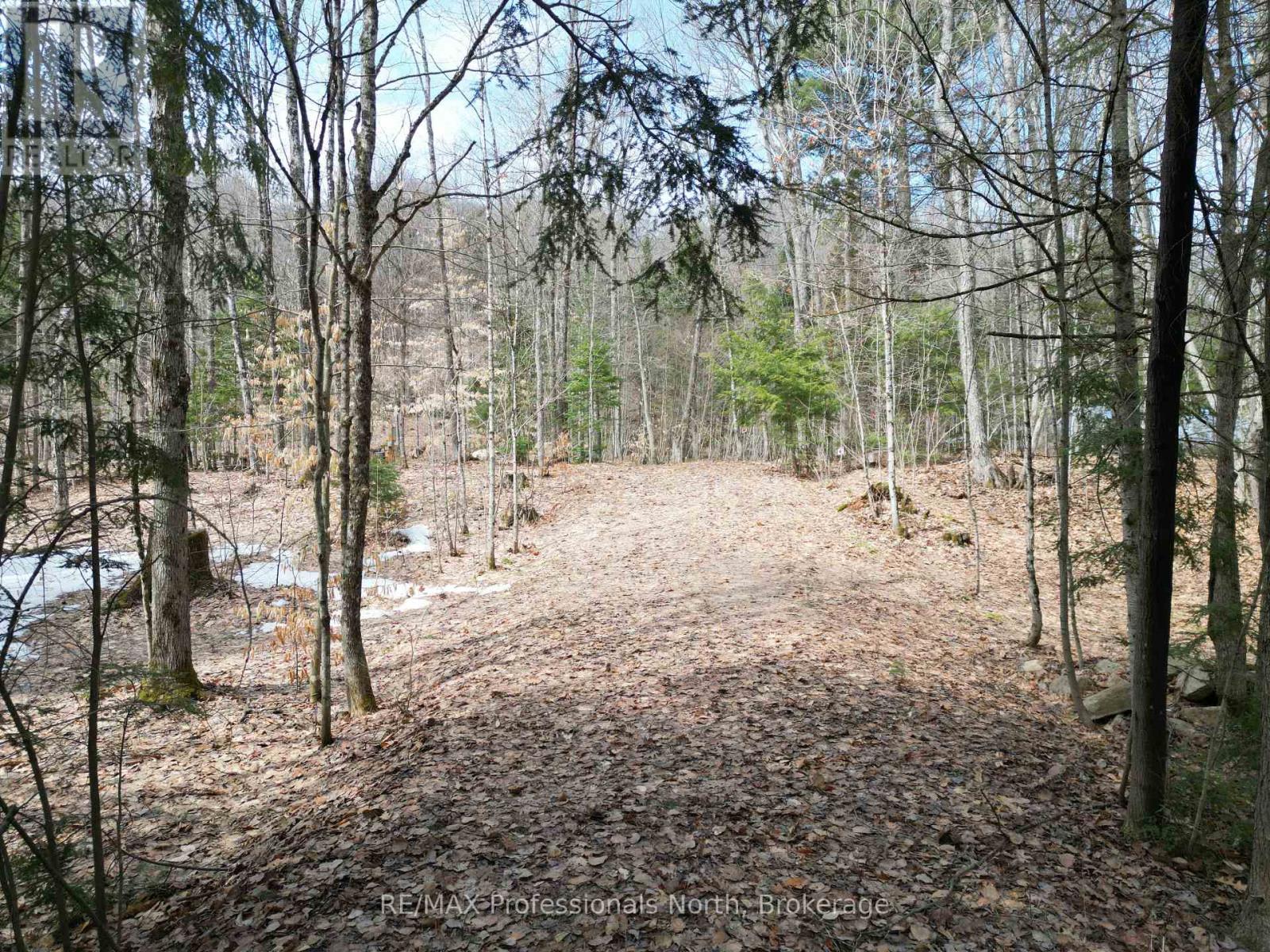 1231 Big Hawk Lake Road, Algonquin Highlands, Ontario  K0M 1J2 - Photo 2 - X13029262