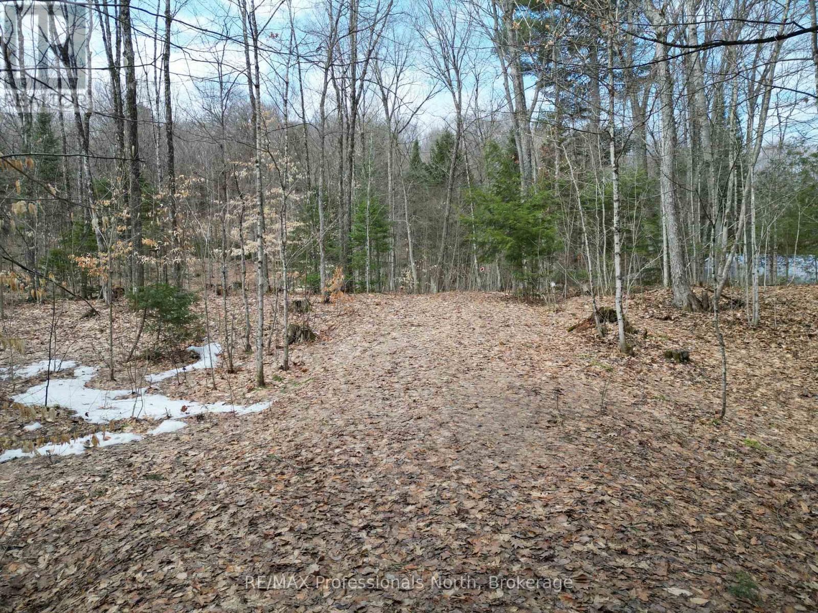 1231 Big Hawk Lake Road, Algonquin Highlands, Ontario  K0M 1J2 - Photo 3 - X13029262