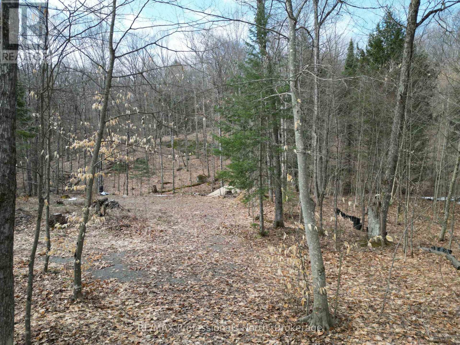 1231 Big Hawk Lake Road, Algonquin Highlands, Ontario  K0M 1J2 - Photo 4 - X13029262