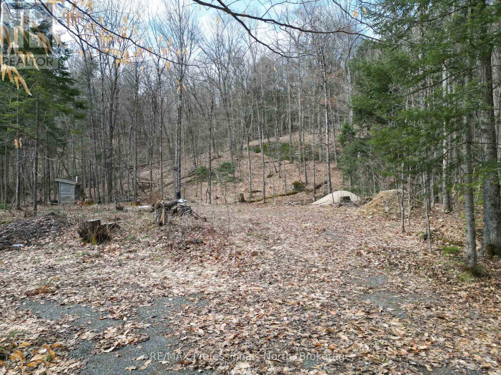 1231 Big Hawk Lake Road, Algonquin Highlands, Ontario  K0M 1J2 - Photo 5 - X13029262