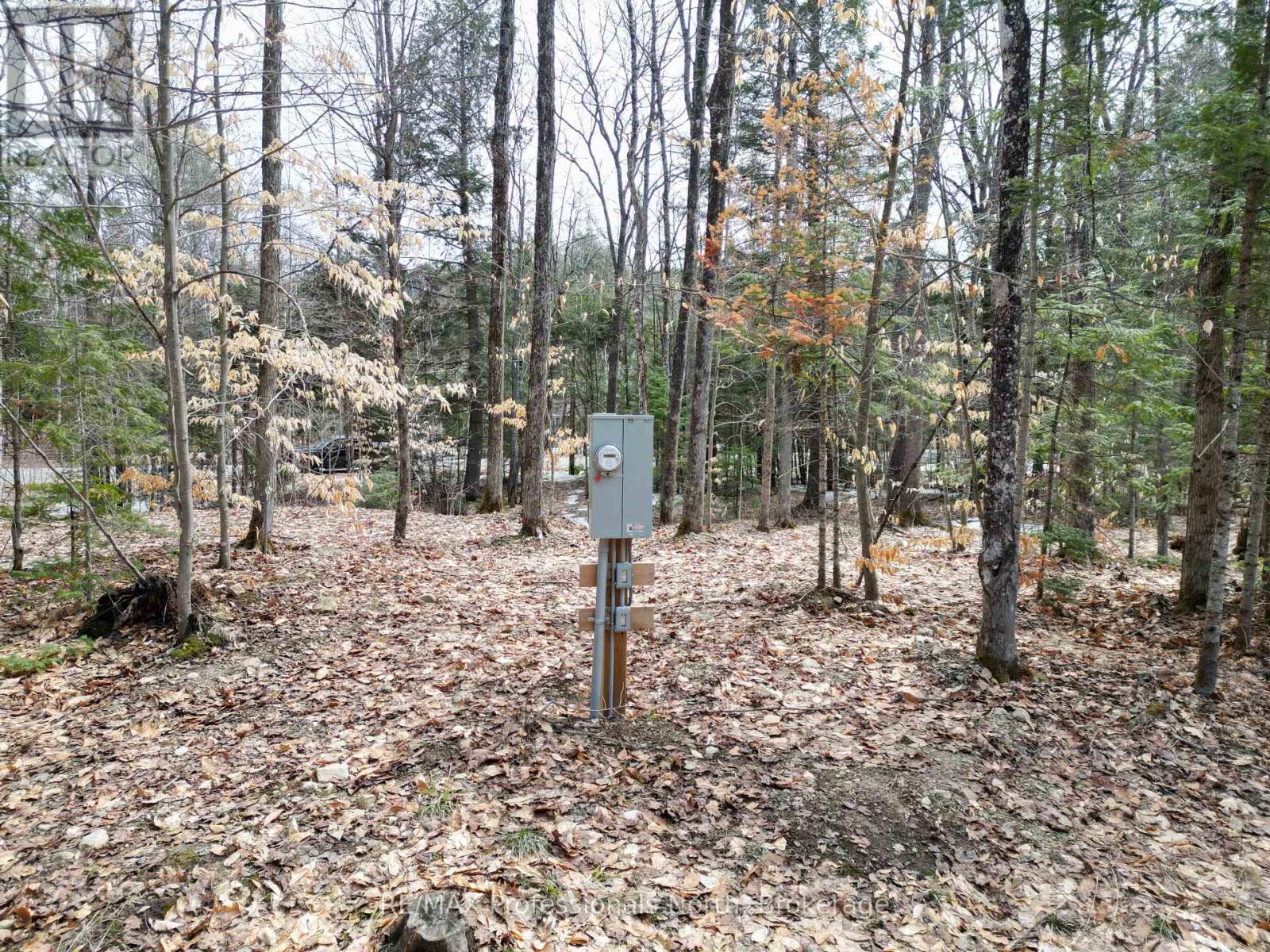 1231 Big Hawk Lake Road, Algonquin Highlands, Ontario  K0M 1J2 - Photo 6 - X13029262