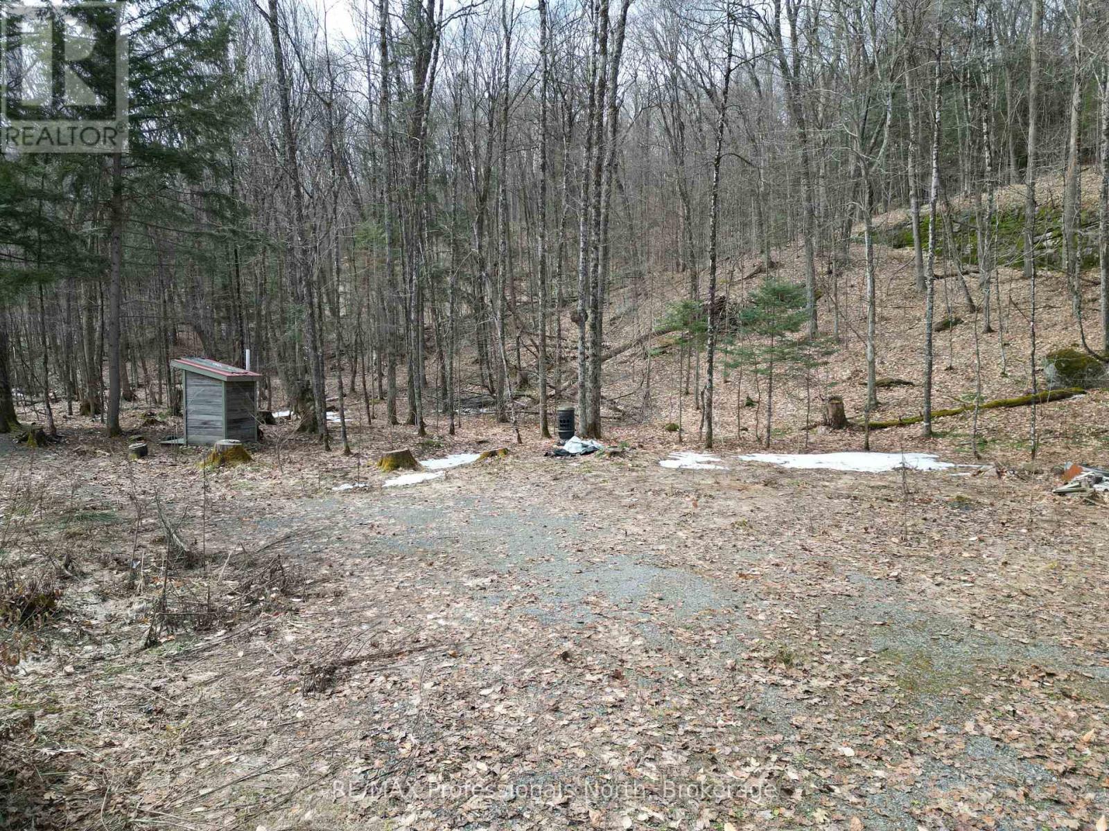 1231 Big Hawk Lake Road, Algonquin Highlands, Ontario  K0M 1J2 - Photo 7 - X13029262