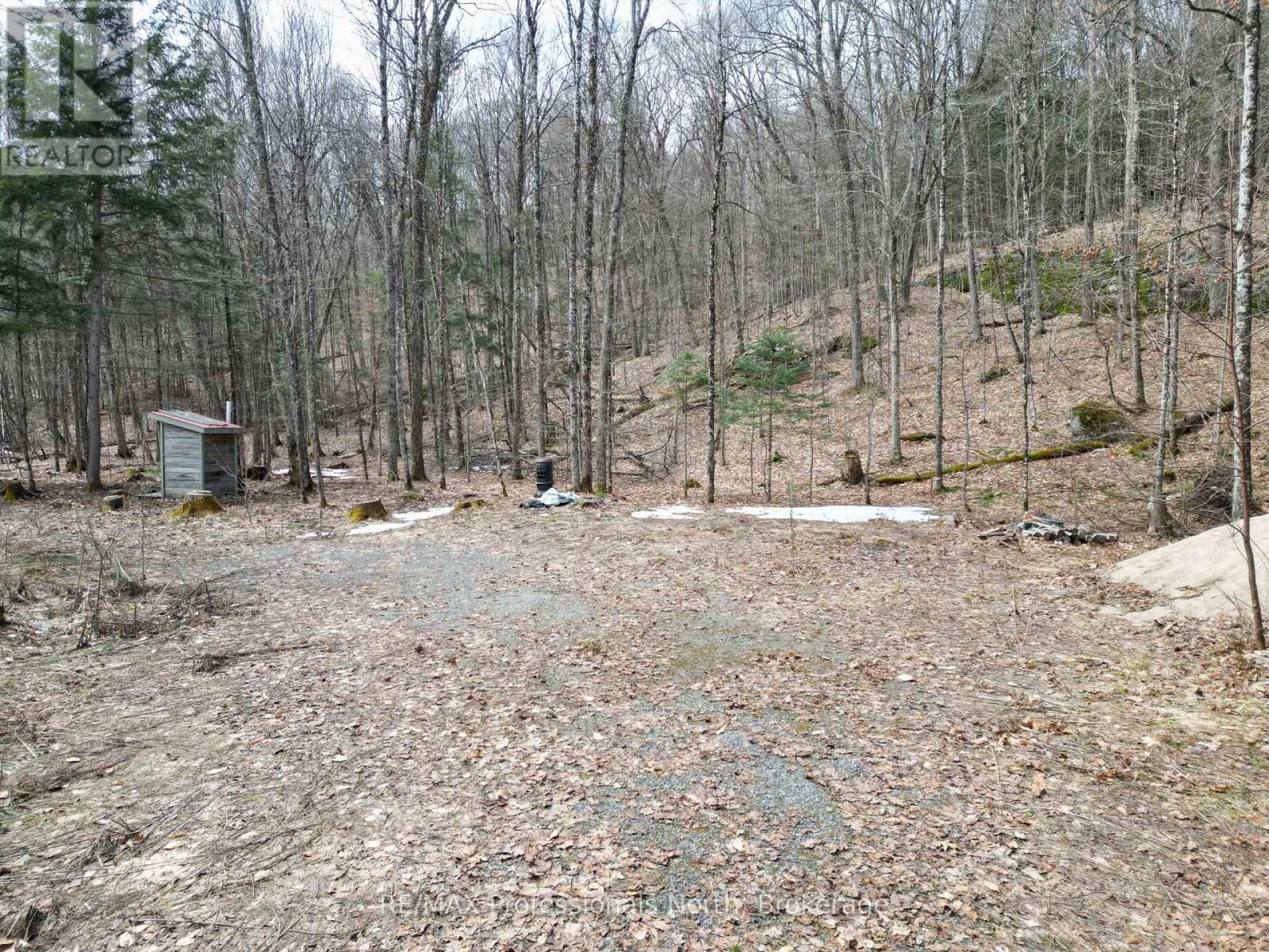 1231 Big Hawk Lake Road, Algonquin Highlands, Ontario  K0M 1J2 - Photo 8 - X13029262