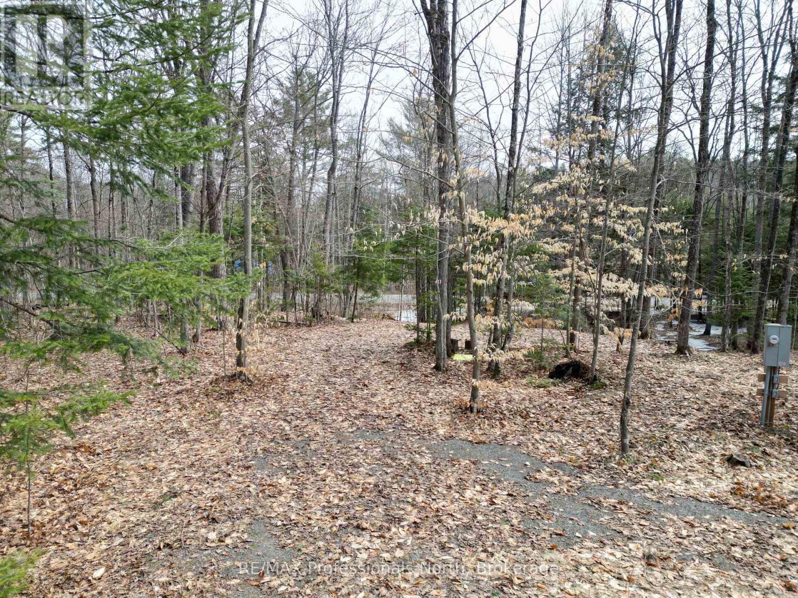 1231 Big Hawk Lake Road, Algonquin Highlands, Ontario  K0M 1J2 - Photo 9 - X13029262