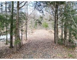 1231 BIG HAWK LAKE ROAD, algonquin highlands (stanhope), Ontario