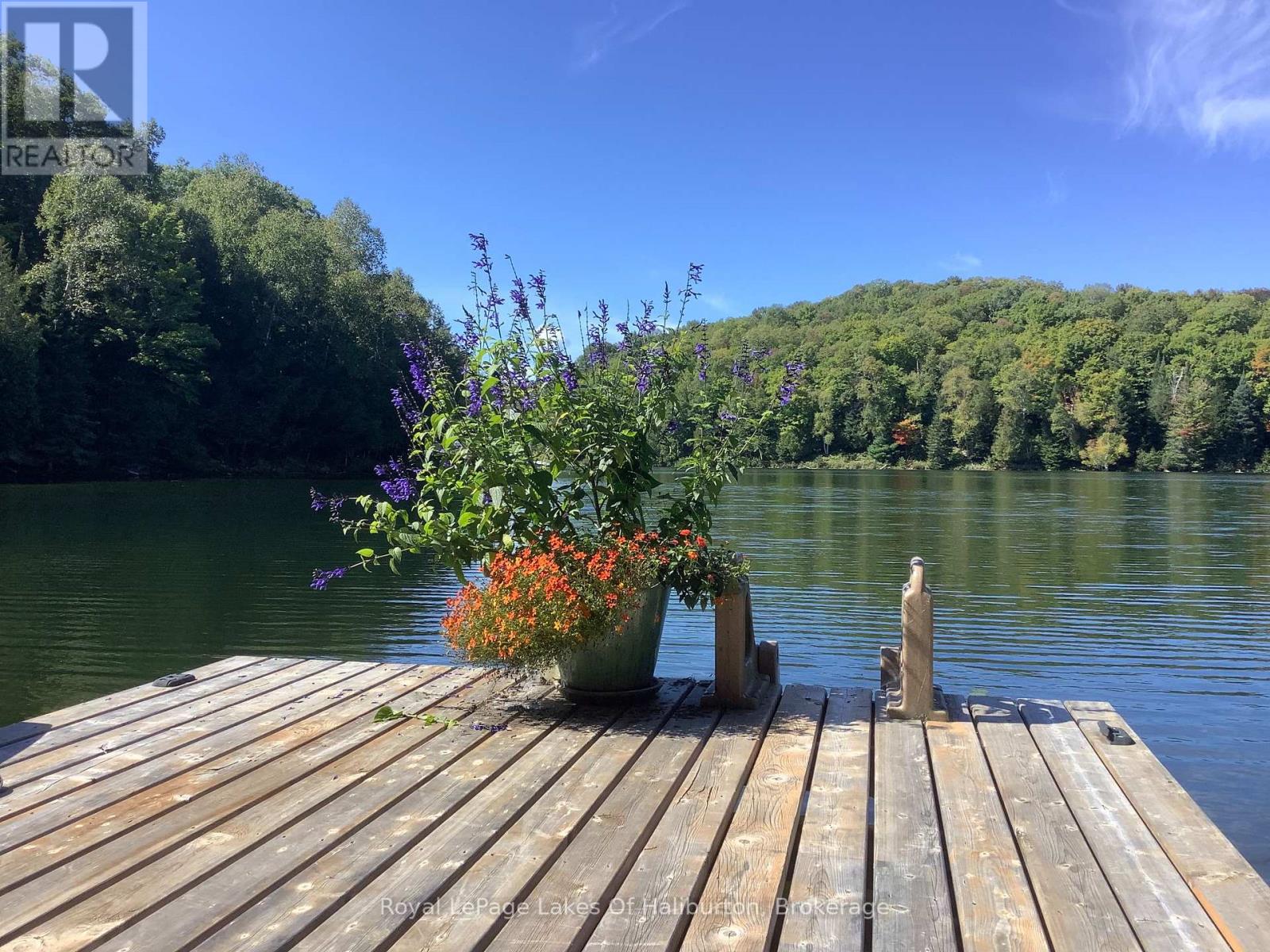 1128 Argillite Road, Dysart Et Al, Ontario  K0M 1S0 - Photo 3 - X13029340