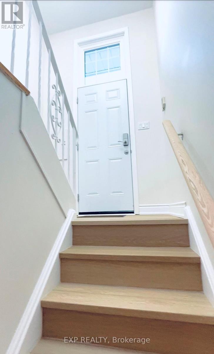 Basement - 36 Castor Crescent, Toronto, Ontario  M1G 3R2 - Photo 2 - E13029348