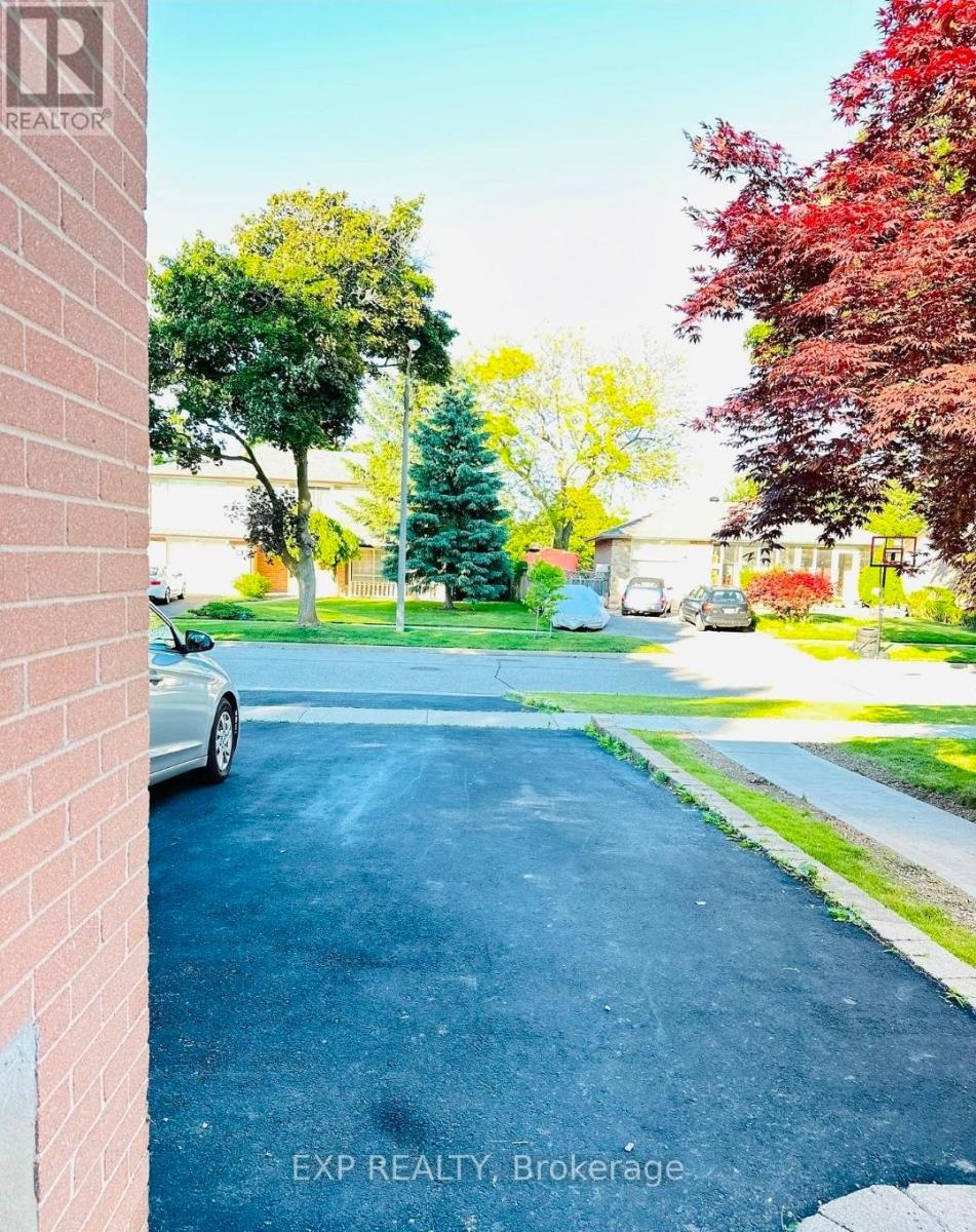 Basement - 36 Castor Crescent, Toronto, Ontario  M1G 3R2 - Photo 7 - E13029348