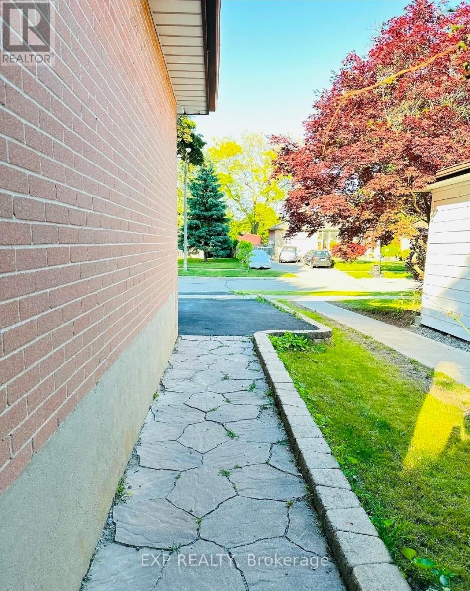 Basement - 36 Castor Crescent, Toronto, Ontario  M1G 3R2 - Photo 8 - E13029348