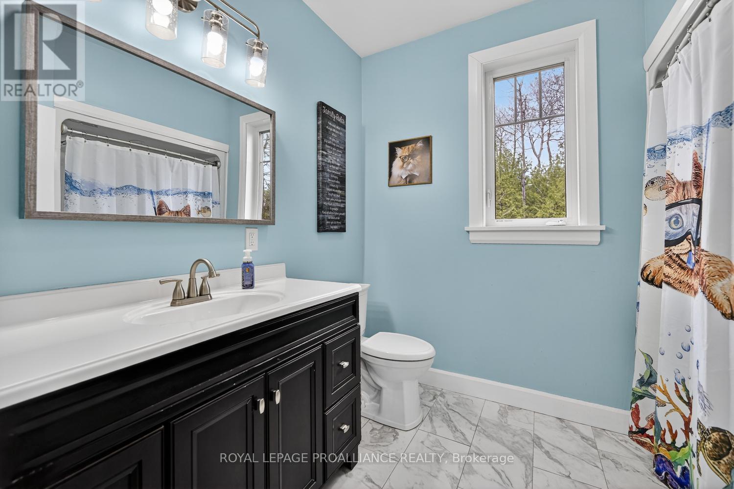 10932 Jellyby Road, Elizabethtown-Kitley, Ontario  K0G 1R0 - Photo 27 - X13028212