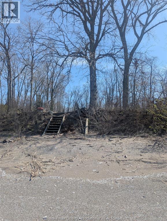 V/l Old Vine Road, Pelee Island, Ontario  N0R 1M0 - Photo 3 - 26007504