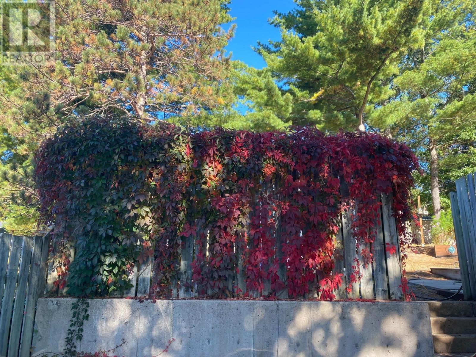 909 Shawn Drive, Ravenwood, Kingston, Nova Scotia  B0P 1R0 - Photo 45 - 202608199