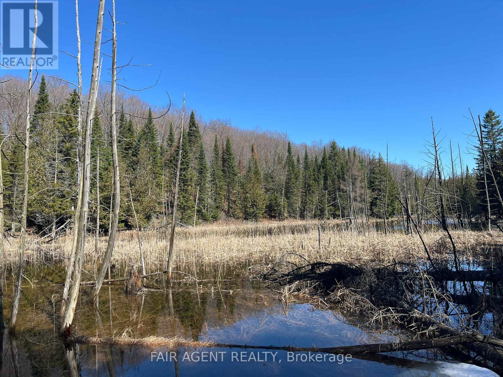 1270 Old Donald Road, Dysart Et Al, Ontario  K0M 1S0 - Photo 10 - X13029536